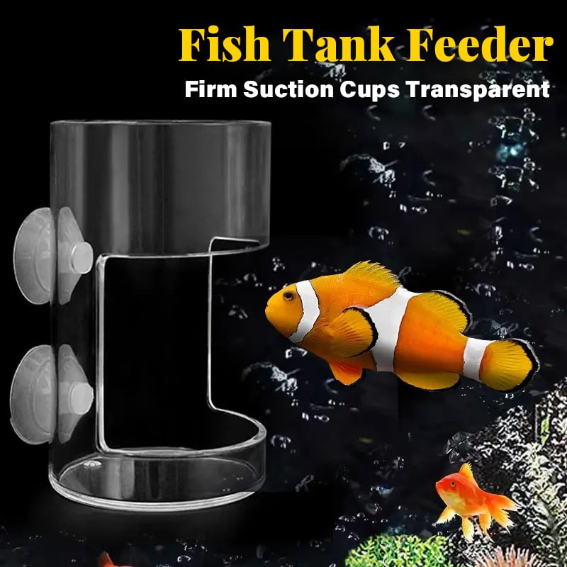 💰 Value Aquarium Feeder Set — Essential Feeding Kit, 🔥Buy 1 Get 1 Free🔥