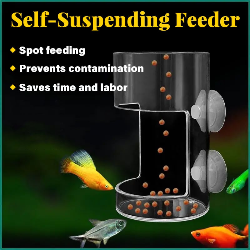 💰 Value Aquarium Feeder Set — Essential Feeding Kit, 🔥Buy 1 Get 1 Free🔥