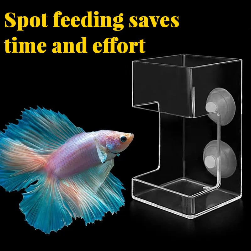 💰 Value Aquarium Feeder Set — Essential Feeding Kit, 🔥Buy 1 Get 1 Free🔥